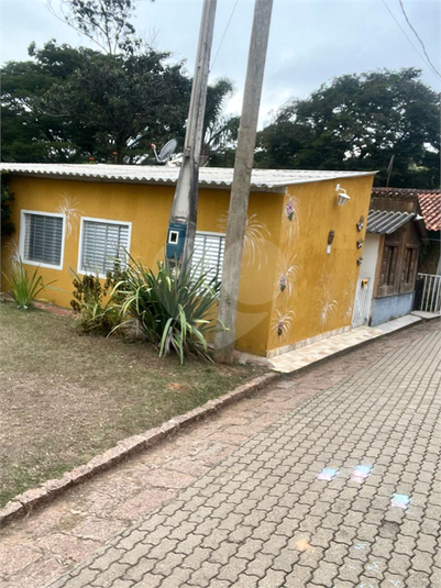 Foto REO1090788