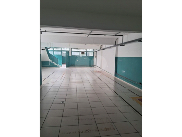 Foto REO1090807