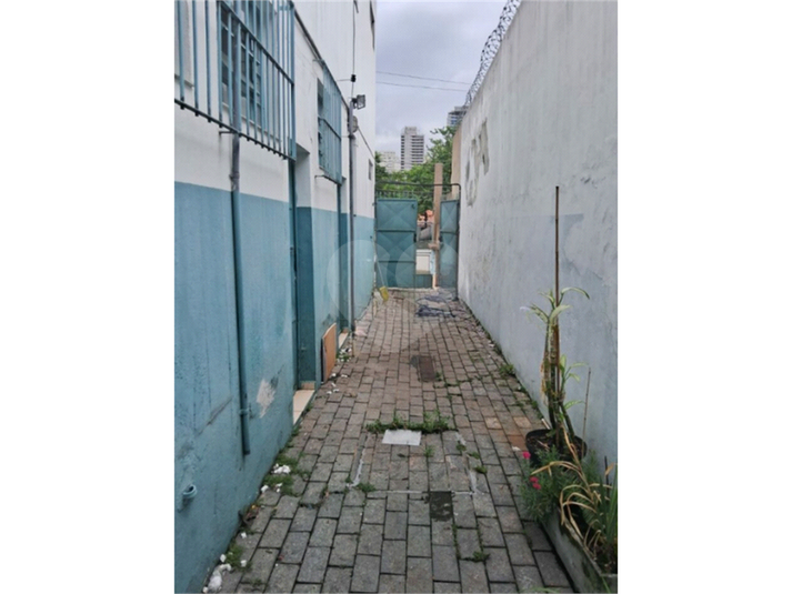 Foto REO1090807