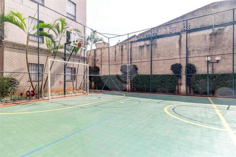 Foto REO1090843