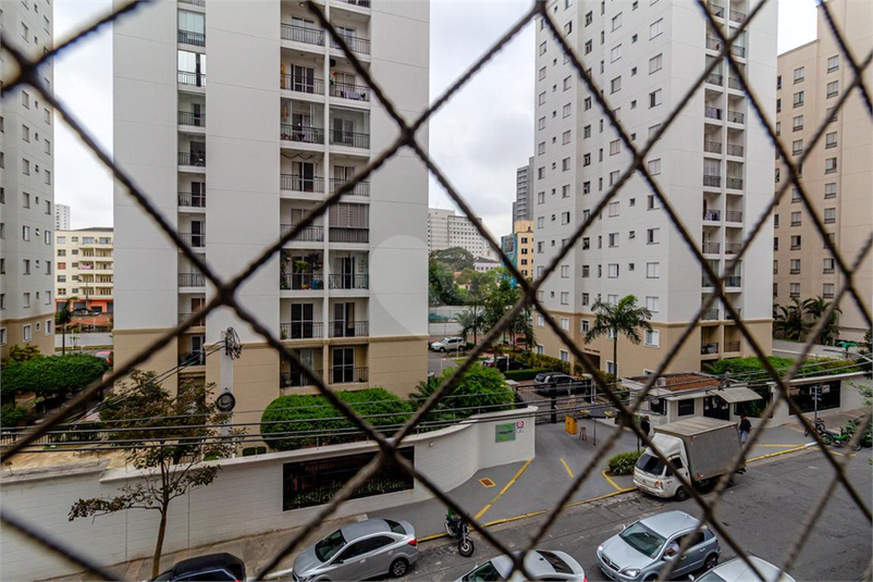 Foto REO1090843