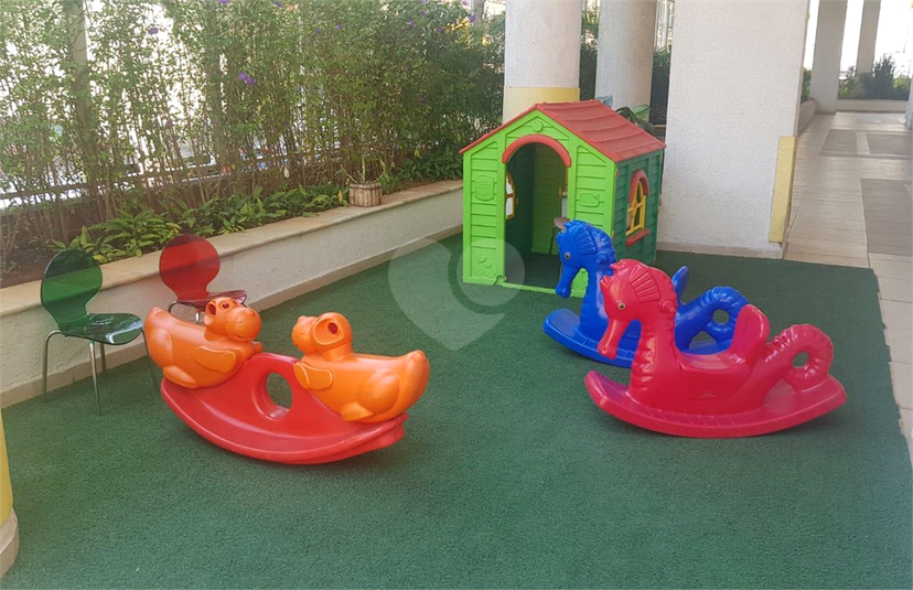 Foto REO1090848