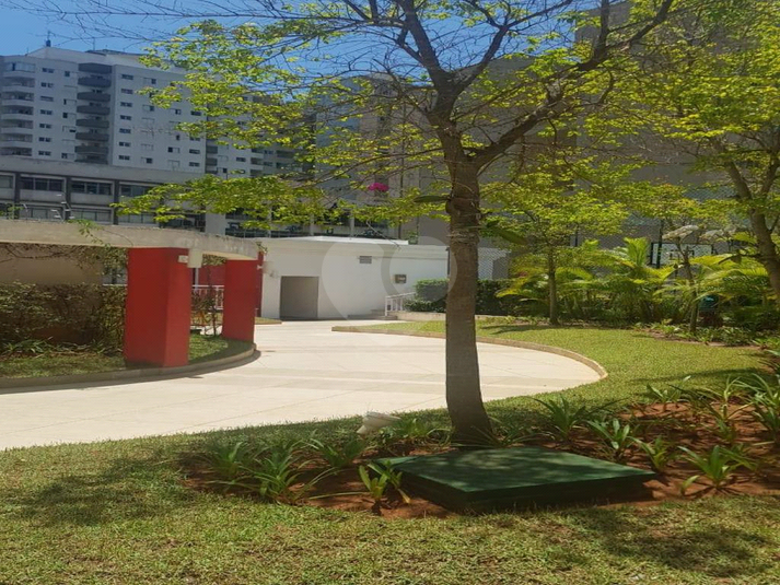 Foto REO1090848