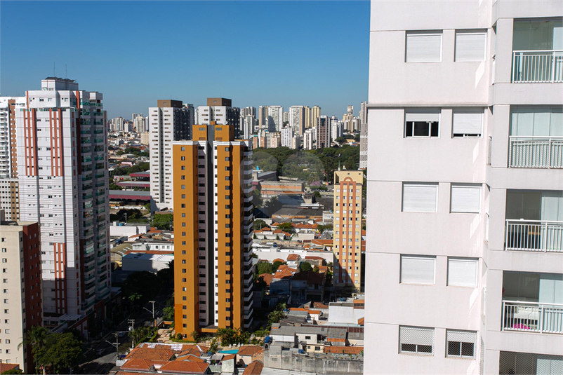 Foto REO1090857