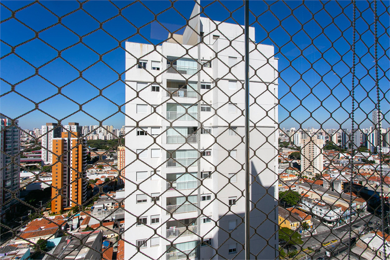 Foto REO1090857