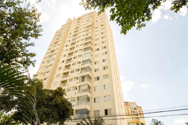 Foto REO1090859
