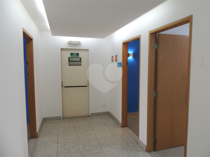 Foto REO1090869