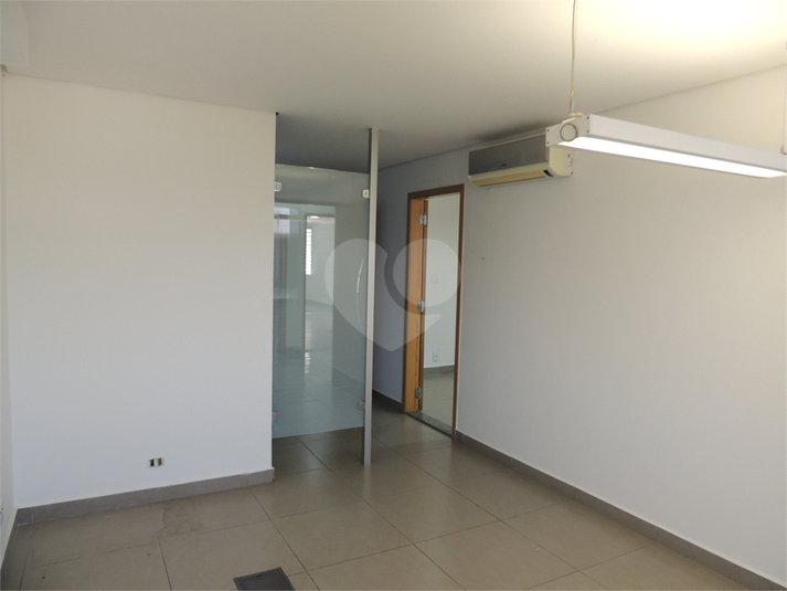 Foto REO1090869