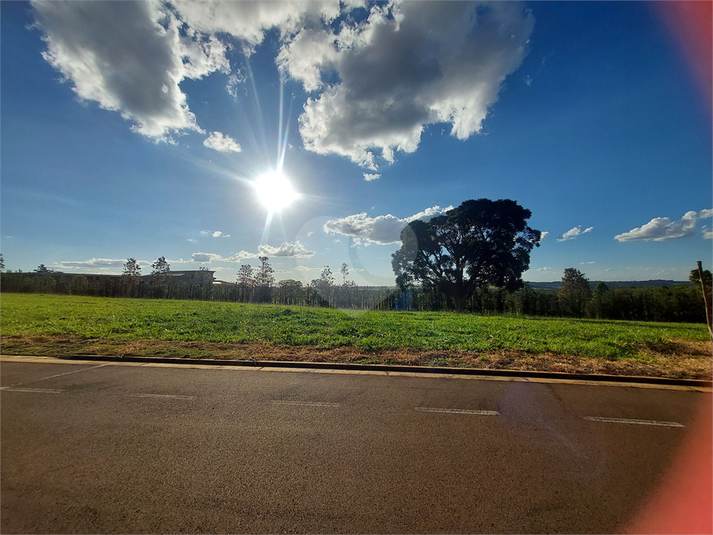 Foto REO1090881