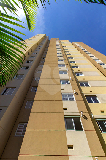 Foto REO1090898