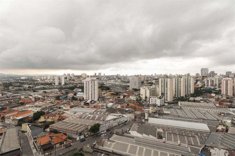 Foto REO1090914
