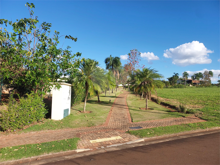 Foto REO1090955