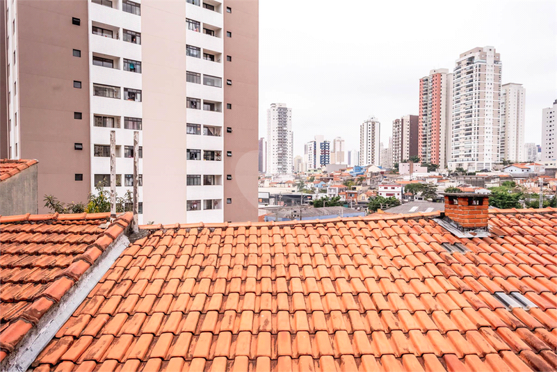 Foto REO1090962