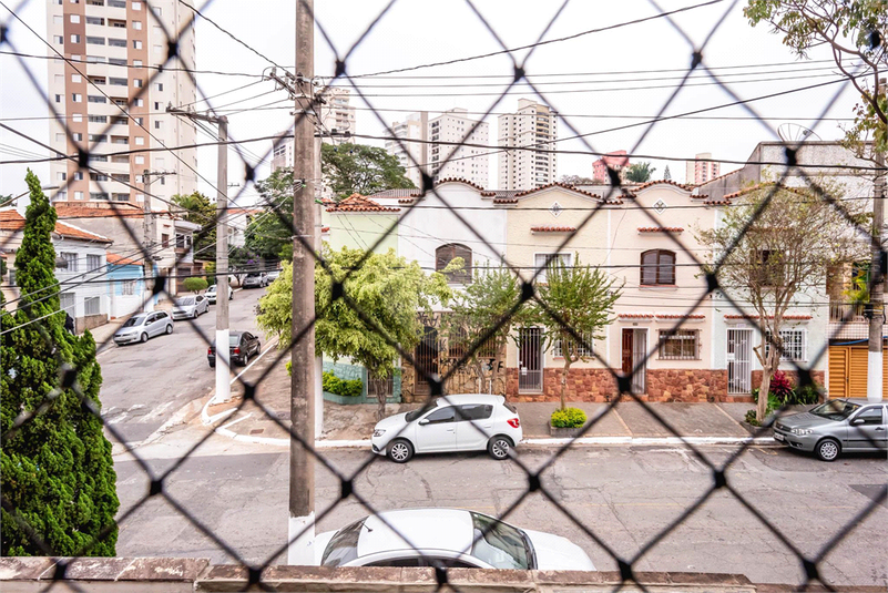 Foto REO1090962