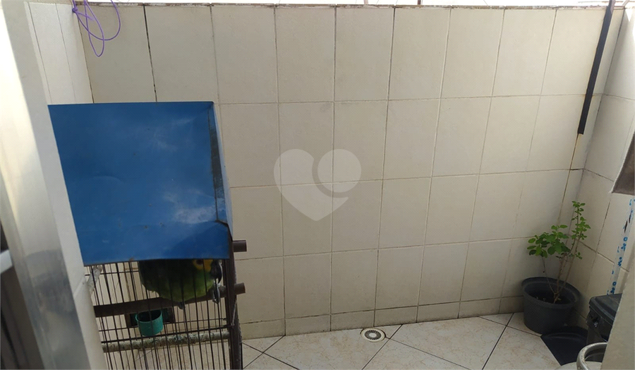 Foto REO1090965