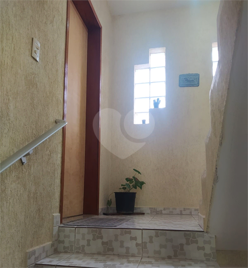 Foto REO1090965