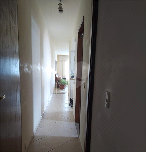 Foto REO1090965