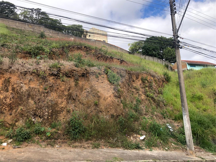 Foto REO1090969