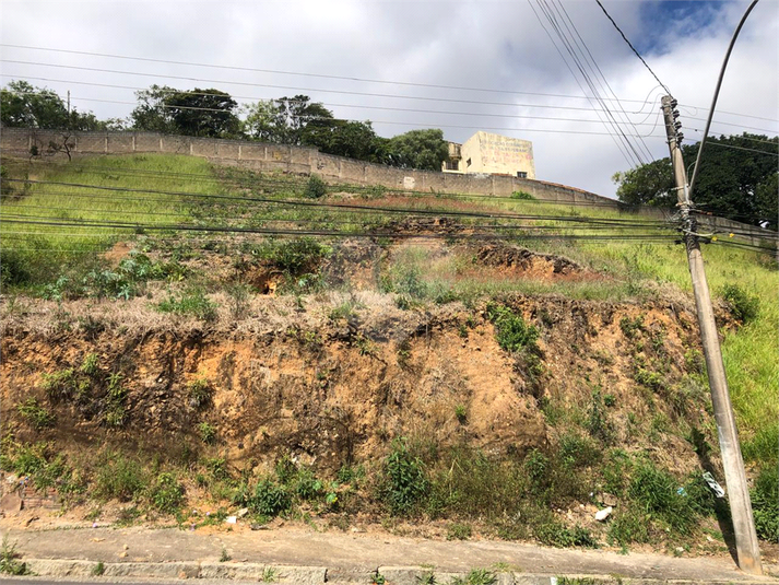 Foto REO1090969