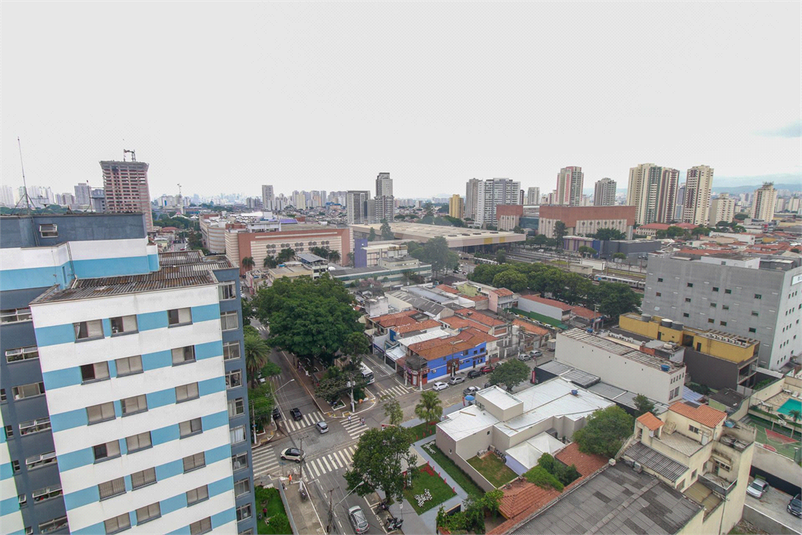 Foto REO1090981
