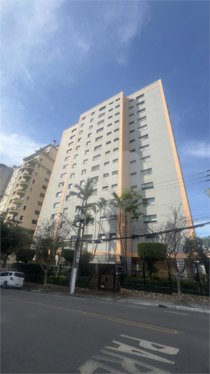 Foto REO1090986