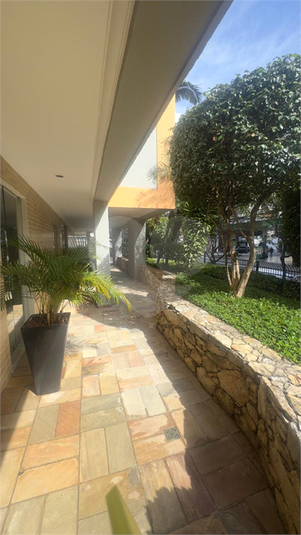 Foto REO1090986