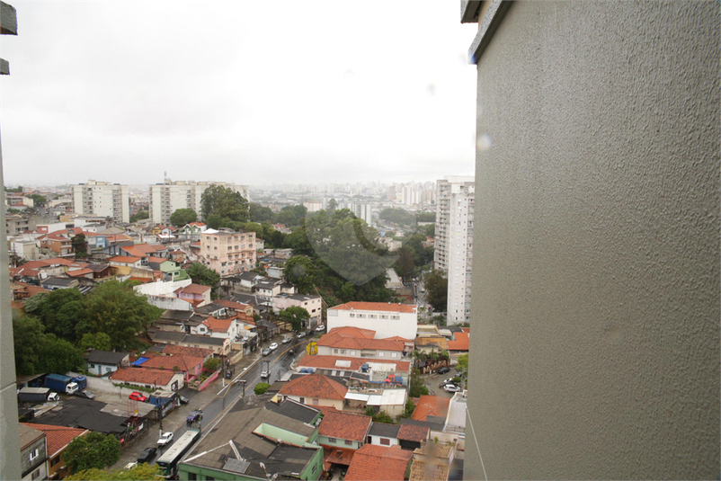 Foto REO1091022