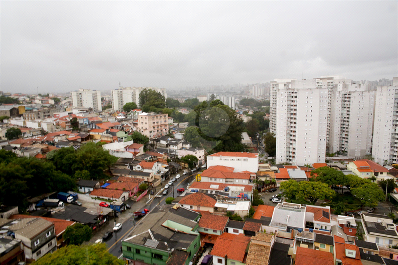 Foto REO1091022