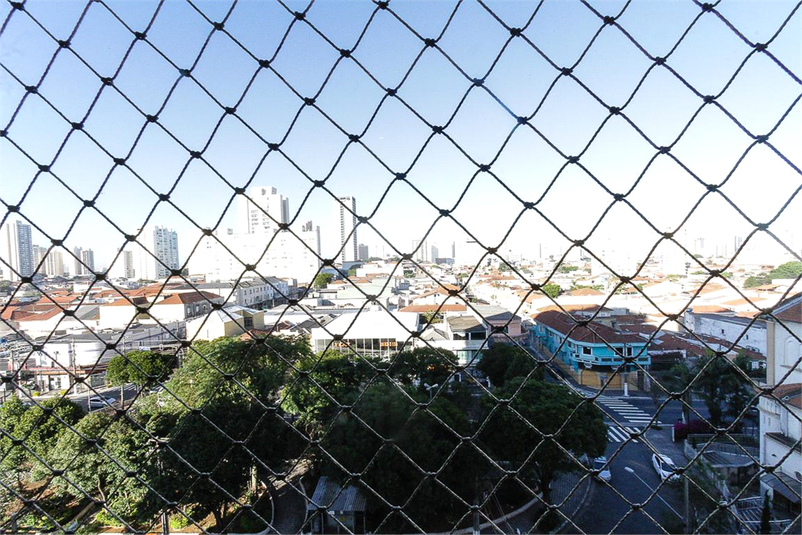 Foto REO1091025