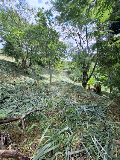 Foto REO1091033