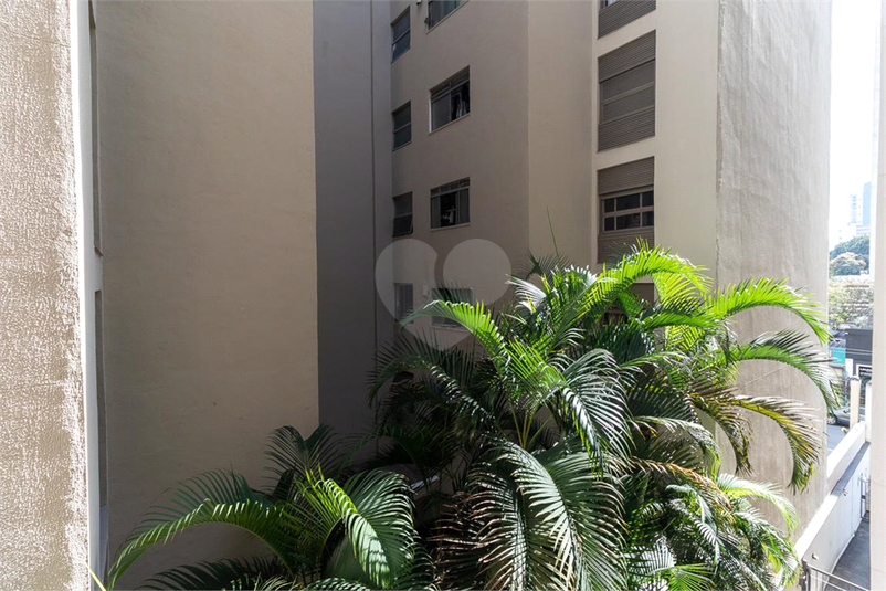 Foto REO1091037