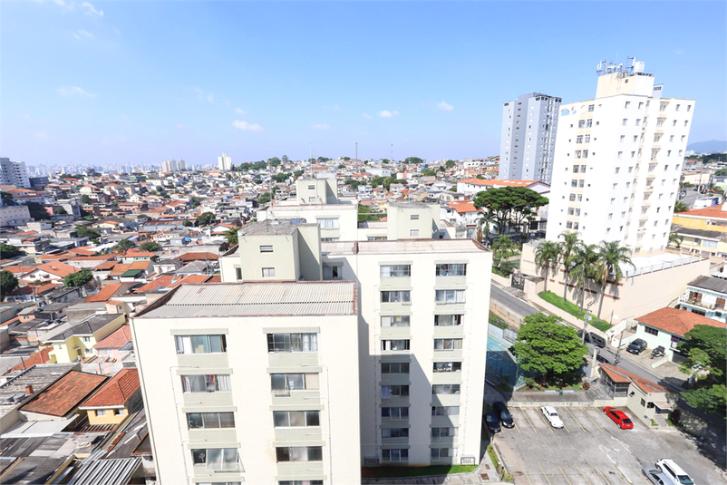 Foto REO1091059