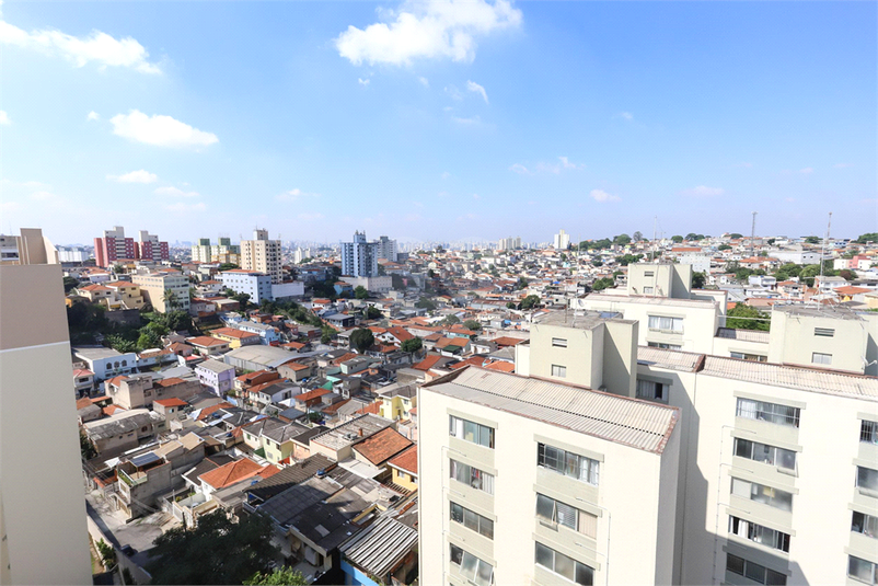 Foto REO1091059