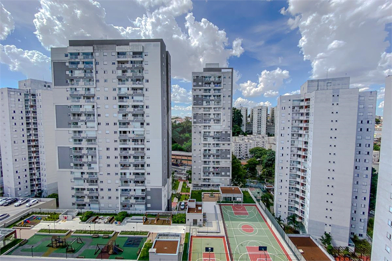 Foto REO1091069