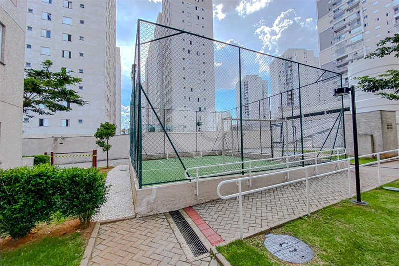 Foto REO1091069
