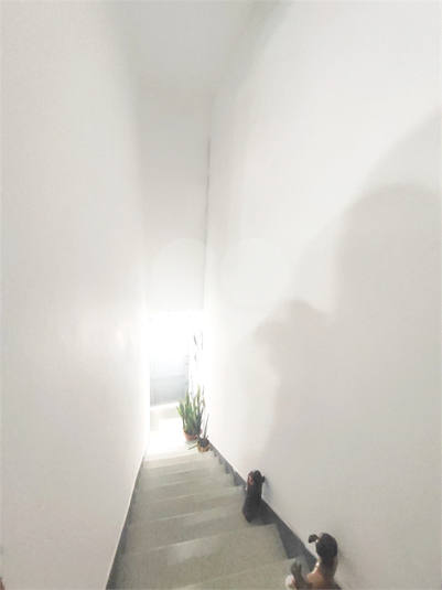 Foto REO1091101