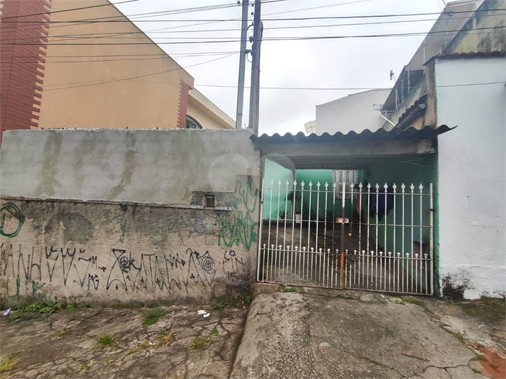 Foto REO1091101