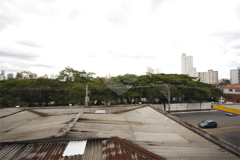 Foto REO1091116
