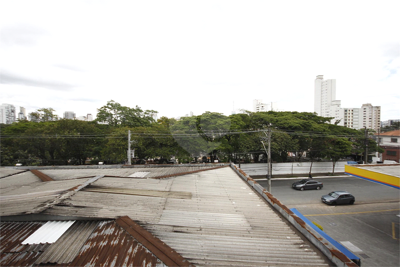 Foto REO1091116