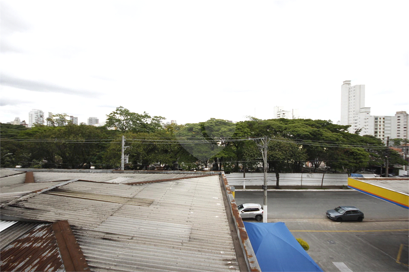 Foto REO1091116