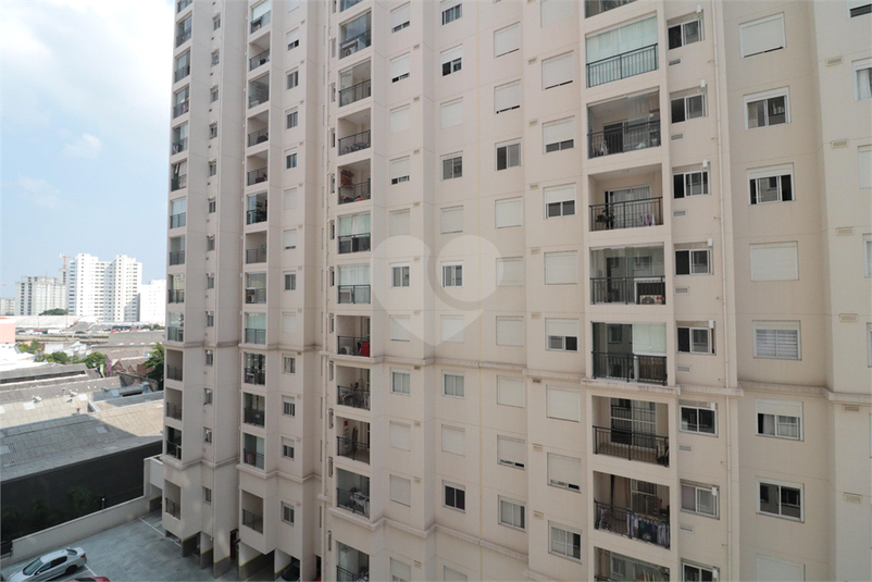 Foto REO1091121