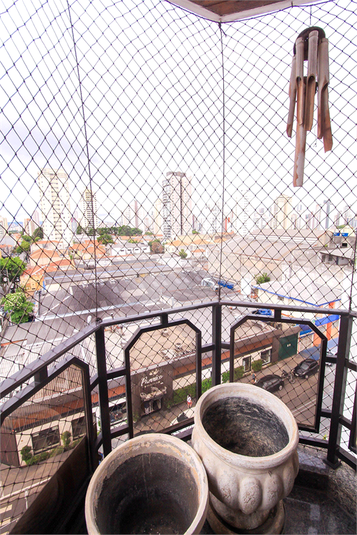 Foto REO1091122