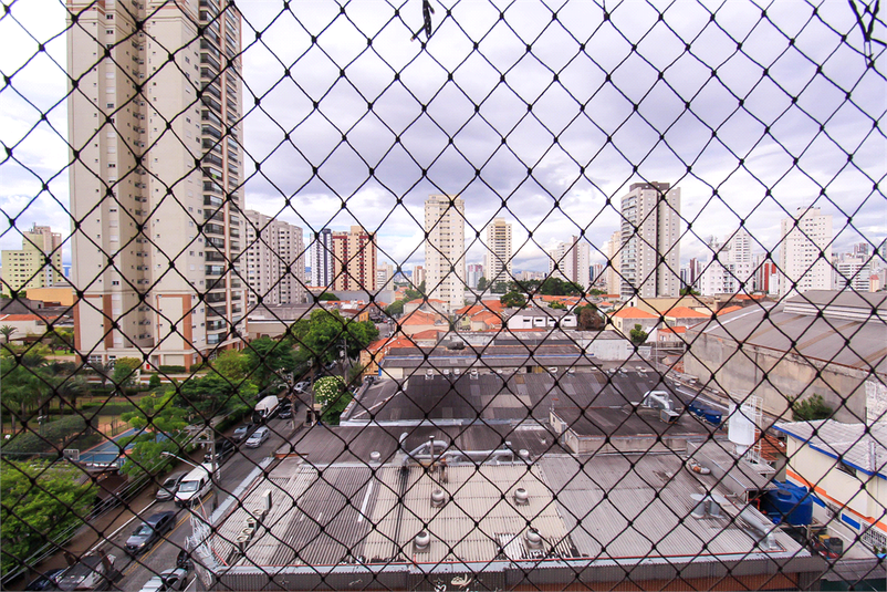 Foto REO1091122