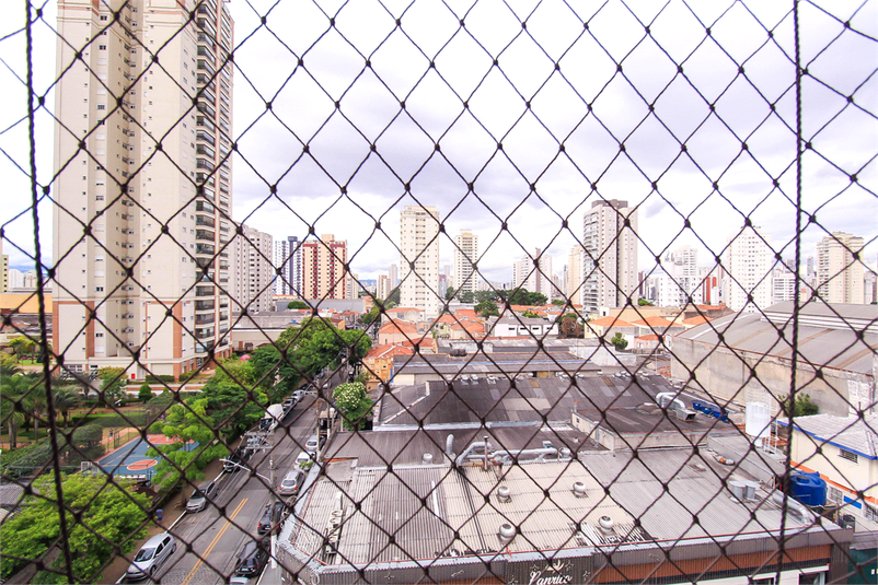 Foto REO1091122