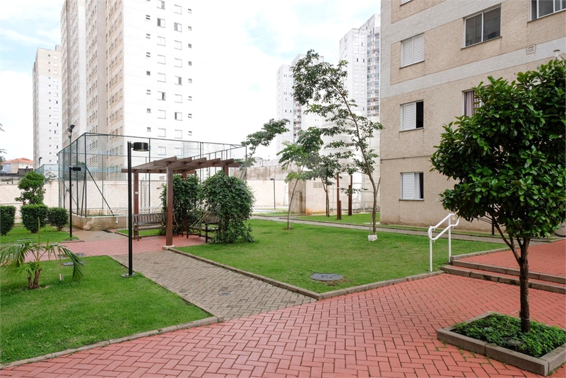 Foto REO1091149