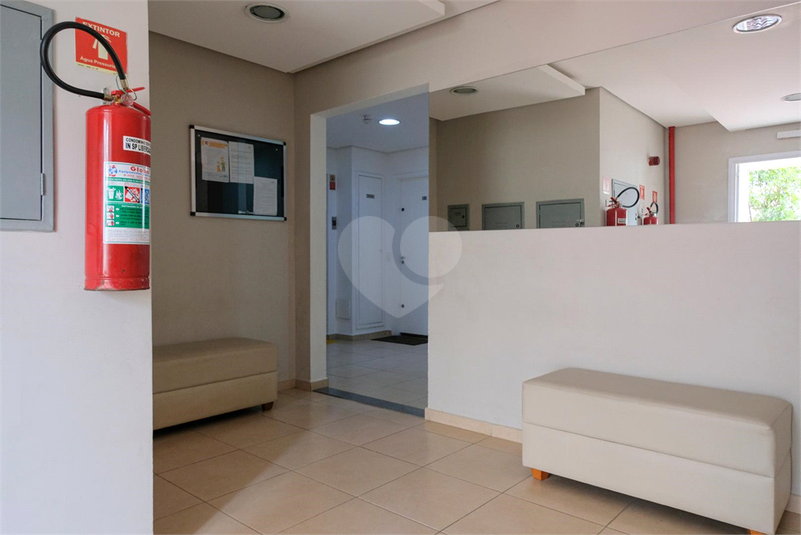 Foto REO1091149
