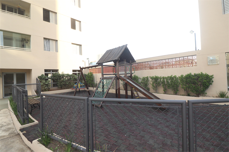 Foto REO1091150