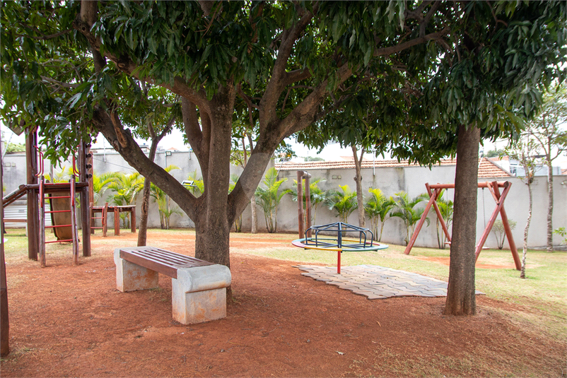 Foto REO1091169