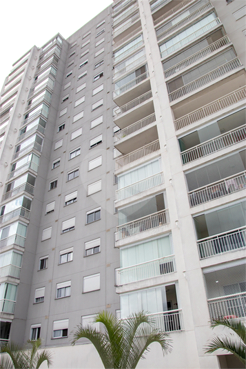 Foto REO1091169