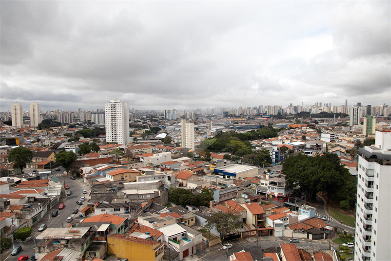 Foto REO1091169